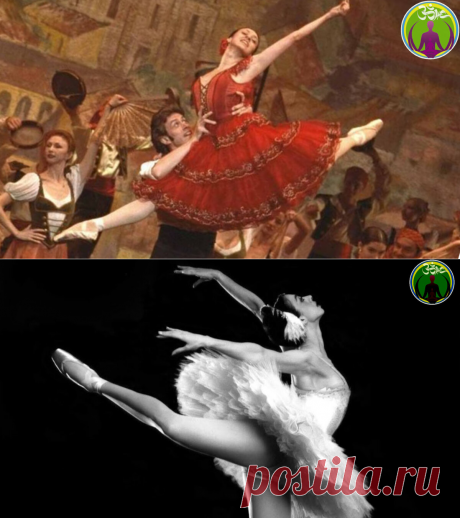 Незабываемые впечатления от совместной работы с великой балериной Н.Ананиашвили | ЗОЖ путь изнутри вовне | Яндекс Дзен