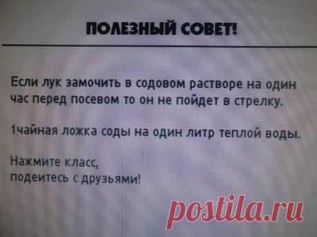 (48) Одноклассники
