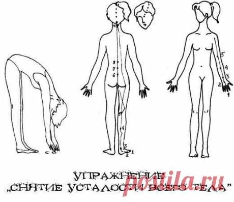 Упражнение «Снятие усталости всего тела» | Human psychology