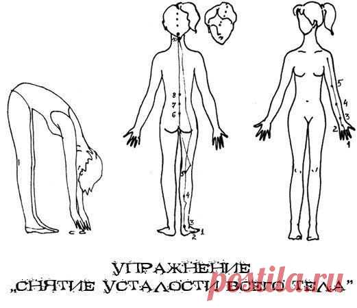 Упражнение «Снятие усталости всего тела» | Human psychology