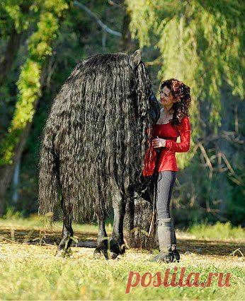 Гюльчатай, покажи личко!