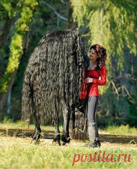 Гюльчатай, покажи личко!