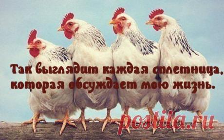 Картинки с надписями. Как выглядит сплетница.