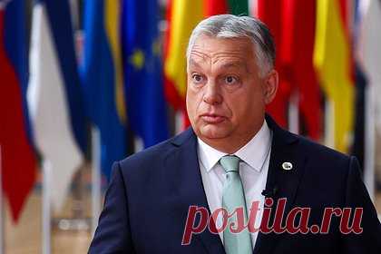 Назван возможный ответ Орбана на шантаж со стороны Зеленского
