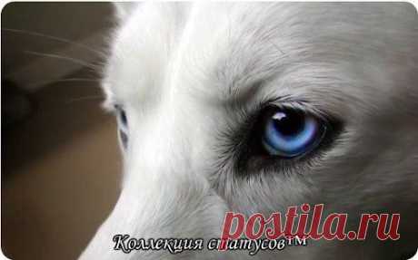 (49) Одноклассники