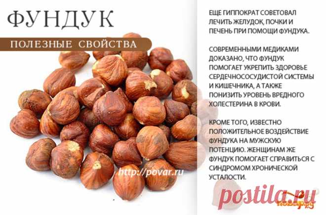 Фундук полезные свойства