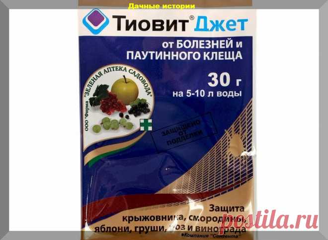 Шпаргалка по различным препаратам для сада и огорода: в помощь начинающим дачникам | Дачные истории | Дзен