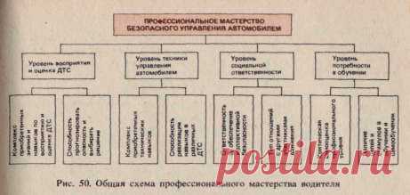 каким приказом минтранса отменена методика совершенствования профессионального мастерства водителей автобусов: 3 тыс изображений найдено в Яндекс.Картинках