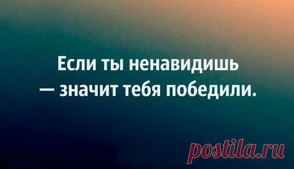 Мои закладки