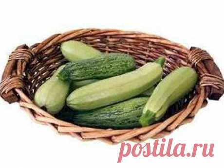 КАБАЧКИ &quot;БАНАНЧИКИ&quot;.