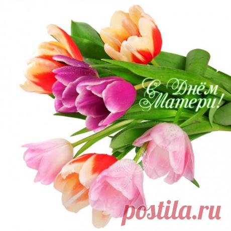 С Днем Матери: открытки с поздравлениями для самых родных женщин в жизни каждого человека - Общество на Joinfo.ua