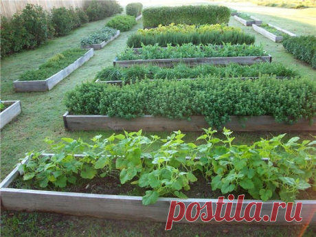 Ограждения для грядок и клумб