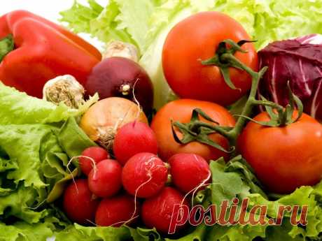 Наброски посадки семян