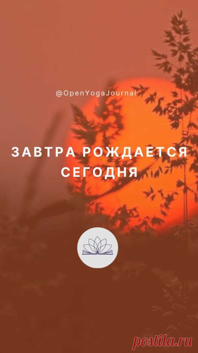 Каждый день предоставляет нам возможность что-то поменять в своей жизни. Однако порой мы считаем себя заложниками сложившихся обстоятельств и думаем, что от нас ничего не зависит. Как рождаются ситуации, в которых мы оказываемся? Как выйти из круговорота событий, которые влияют на нас? И как правильное отношение к трудовой деятельности может помочь в этом?
Что такое Карма?