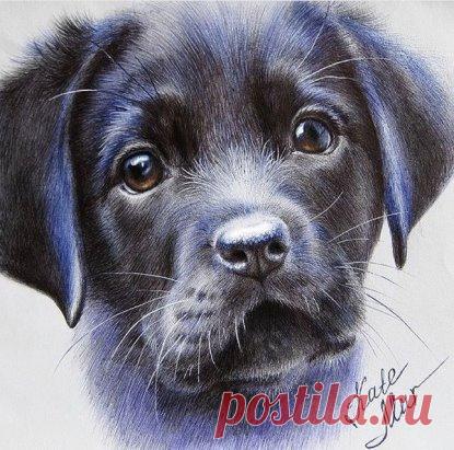 Рисунок шариковой ручкой