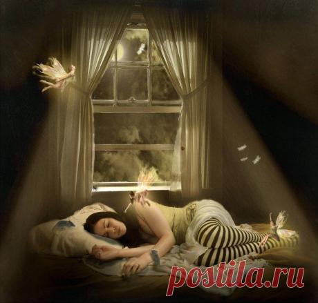 Интересные и малоизвестные факты про сон | Среда обитания