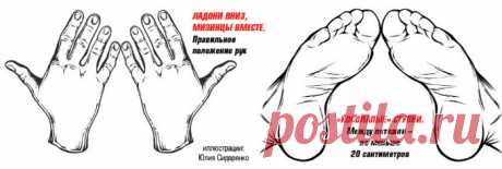 Как убрать живот и выпрямить спину без особых усилий!