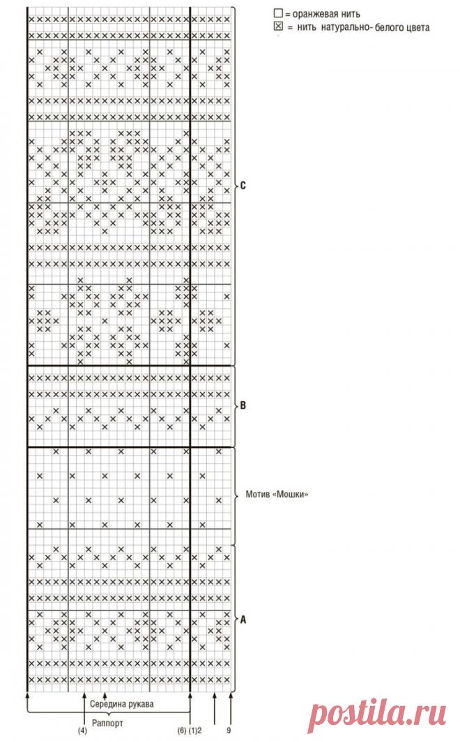 Pants and sweatshirts for childrens