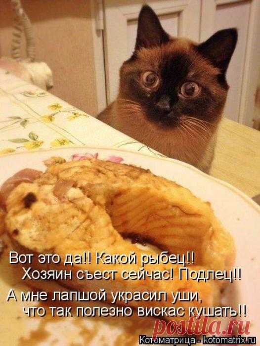 Вот это да.