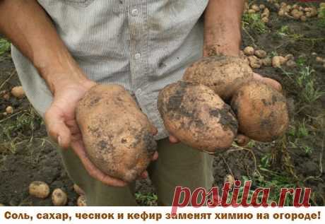 (11) Одноклассники