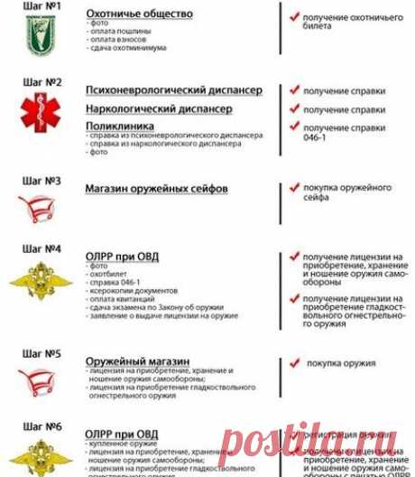Схема действий при получении лицензий на травматическое и гладкоствольное оружие