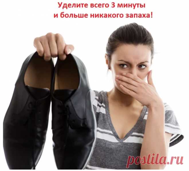 Время чтения статьи — не более 3 минут вашей жизни. Польза от...