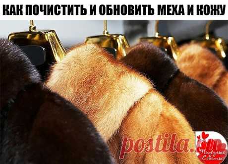 КАК ПОЧИСТИТЬ И ОБНОВИТЬ МЕХА И КОЖУ

1 Изделия из кожи можно обновить, протерев их взбитым яичным белком. Загрязненную кожу можно мыть теплым некипяченым молоком.

2 Цвет кожи восстановится, если смазать ее глицерином.

3 Изделиям из кожи придаст блеск кофейная гуща. Гущу нужно завернуть в шерстяную или фланелевую тряпочку и энергичными движениями протереть кожу.

4 Кожаные изделия можно чистить водой с мылом и нашатырным спиртом, а потом протереть тряпочкой смоченной кас...