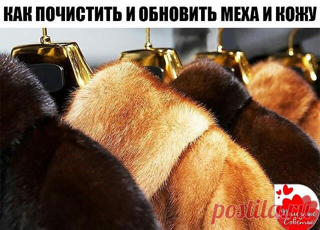 КАК ПОЧИСТИТЬ И ОБНОВИТЬ МЕХА И КОЖУ

1 Изделия из кожи можно обновить, протерев их взбитым яичным белком. Загрязненную кожу можно мыть теплым некипяченым молоком.

2 Цвет кожи восстановится, если смазать ее глицерином.

3 Изделиям из кожи придаст блеск кофейная гуща. Гущу нужно завернуть в шерстяную или фланелевую тряпочку и энергичными движениями протереть кожу.

4 Кожаные изделия можно чистить водой с мылом и нашатырным спиртом, а потом протереть тряпочкой смоченной кас...