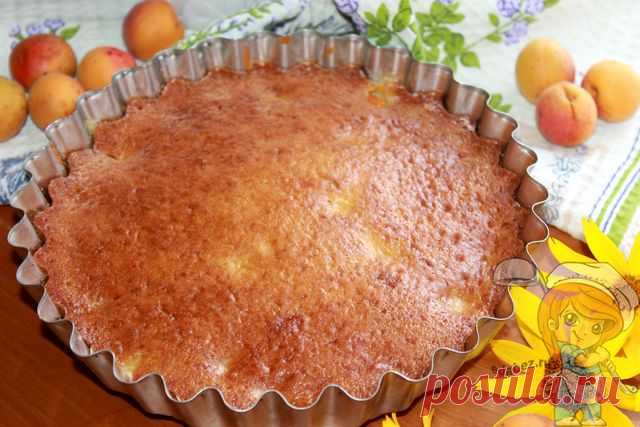 Заливной пирог с абрикосами, рецепт простой и вкусный, с фото Заливной пирог со свежими абрикосами - пышный, с яркими островками фруктов внутри. Ароматы ванилина и абрикосов соберут всех на кухне для душевного чаепития