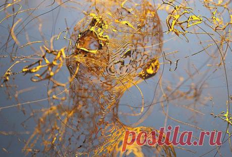 РАЗГОВОР С ТЕМИ, С КЕМ ОН НЕВОЗМОЖЕН — МОЩНАЯ ПРАКТИКА ОСВОБОЖДЕНИЯ