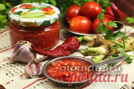 Аджика с хреном и чесноком из помидор на зиму без варки: рецепт с фото пошагово
