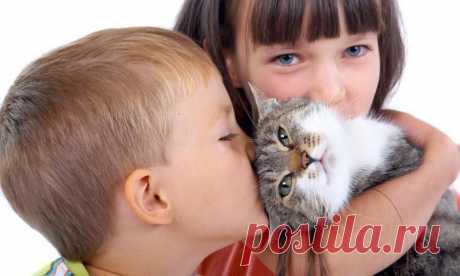 Ну ведь можно не есть из одной миски и не спать в одной кровати
#Дети глупеют общаясь с #кошка'ми - ученые #новости #наука