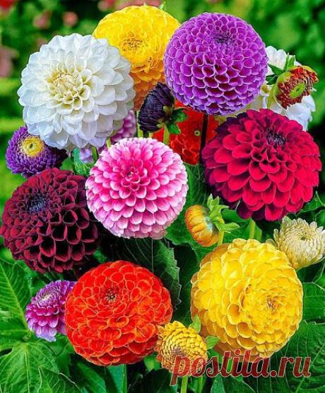 Популярное – Google+