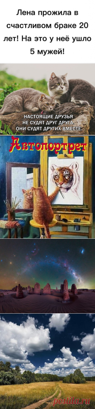 (1) Одноклассники