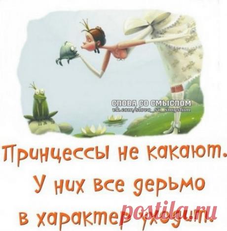Прикольные картинки.