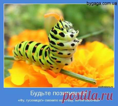 Позитивные картинки про доброе утро (36 фото) ⭐ Забавник