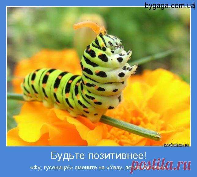 Позитивные картинки про доброе утро (36 фото) ⭐ Забавник