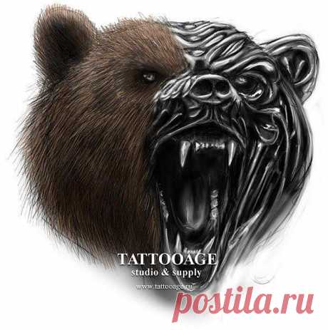 Эскизы: медведь - медведь - Тату салон &quot;TattooAge&quot;