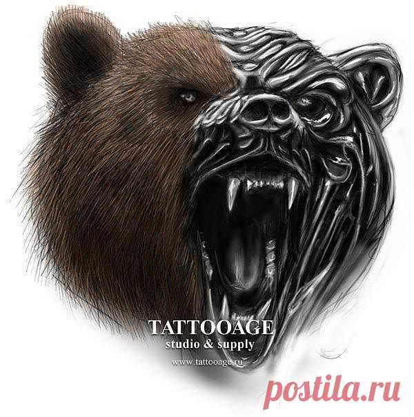 Эскизы: медведь - медведь - Тату салон "TattooAge"