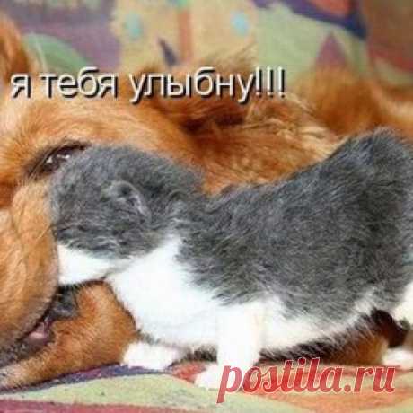 Ну улыбнись!