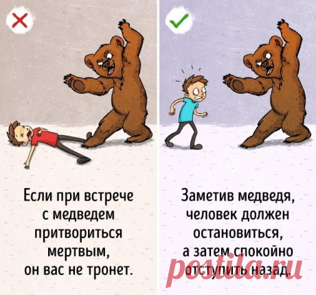 9 советов по выживанию, следовать которым не стоит Существует множество правил, как следует вести себя в чрезвычайных ситуациях. Но так ли они эффективны на самом деле?Некоторые из них не более чем мифы, следовать которым может быть бесполезно или даж...
