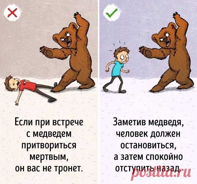 9 советов по выживанию, следовать которым не стоит Существует множество правил, как следует вести себя в чрезвычайных ситуациях. Но так ли они эффективны на самом деле?Некоторые из них не более чем мифы, следовать которым может быть бесполезно или даж...