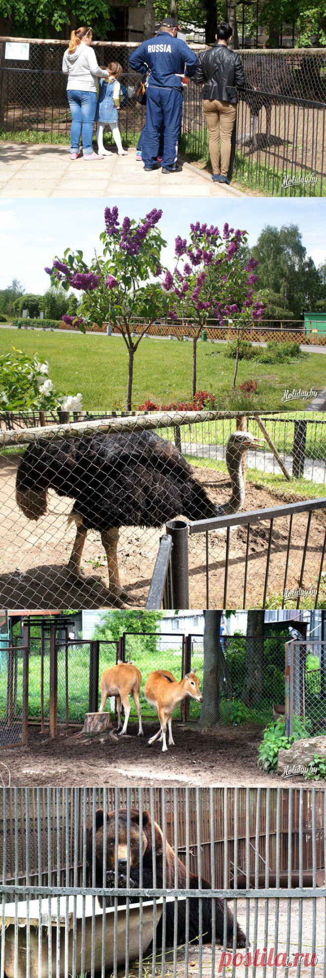 Зоопарк в Минске: москвичи-постояльцы, символ зоосада и сюрпризы для публики - туристический блог об отдыхе в Беларуси