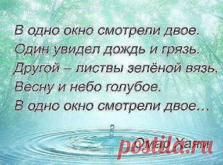 (3) Одноклассники
