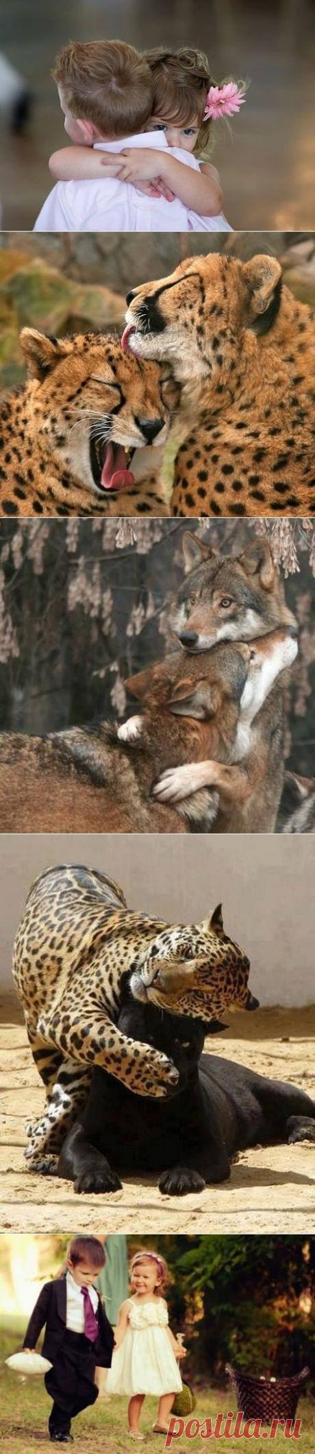 С нежностью и любовью...