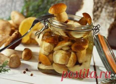 Вкусные рецепты