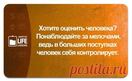 Ольга Шеломенцева