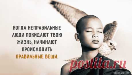 Открытка дня Главная мудрость жизни.