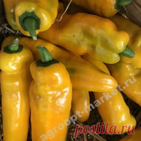 Перец палермо желтый характеристика Огород без хлопот - информационный сайт для дачников, садоводов и огородников.