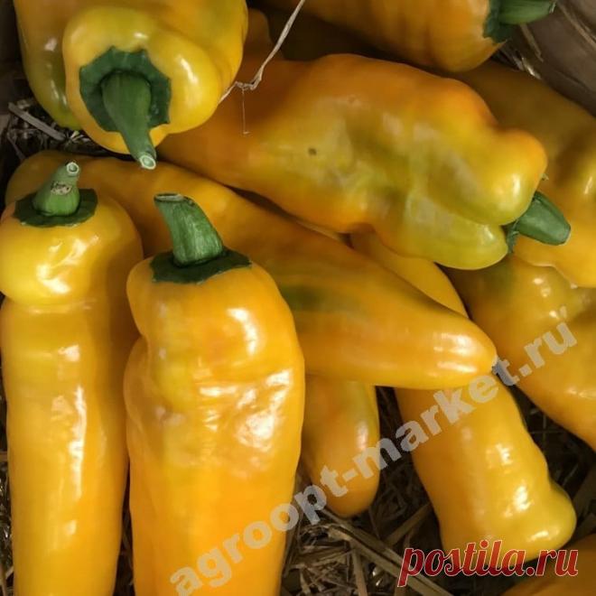 Перец палермо желтый характеристика Огород без хлопот - информационный сайт для дачников, садоводов и огородников.